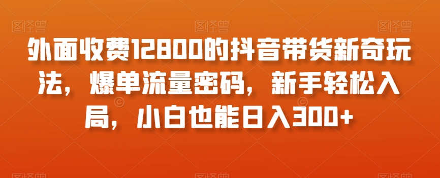 外面收费12800的抖音带货新奇玩法，爆单流量密码，新手轻松入局，小白也能日入300+【揭秘】-火柴小市场