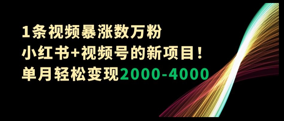 1条视频暴涨数万粉–小红书+视频号的新项目！单月轻松变现2000-4000【揭秘】-火柴小市场