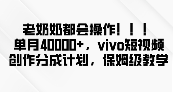 老奶奶都会操作，新平台无脑操作，单月40000+，vivo短视频创作分成计划【揭秘】-火柴小市场