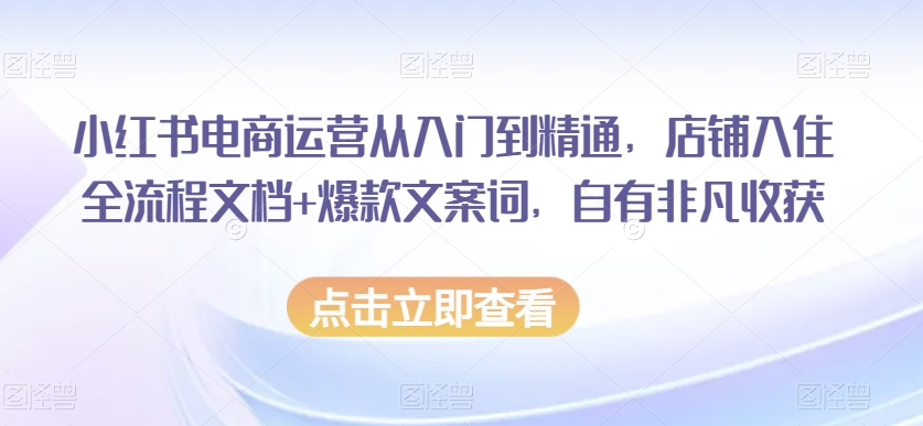 小红书电商运营从入门到精通，店铺入住全流程文档+爆款文案词，自有非凡收获-火柴小市场