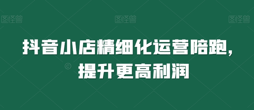 抖音小店精细化运营陪跑，提升更高利润-火柴小市场