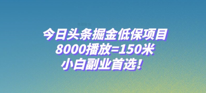 今日头条掘金低保项目，8000播放=150米，小白副业首选【揭秘】-火柴小市场