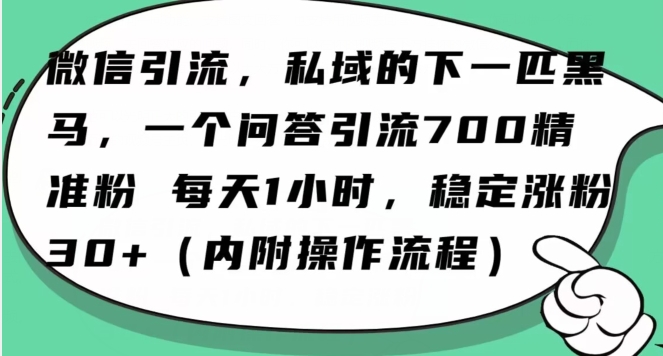 怎么搞精准创业粉？微信新赛道，每天一小时，利用Ai一个问答日引100精准粉-火柴小市场