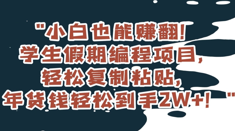 小白也能赚翻！学生假期编程项目，轻松复制粘贴，年货钱轻松到手2W+【揭秘】-火柴小市场