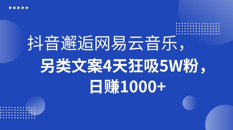 抖音邂逅网易云音乐，另类文案4天狂吸5W粉，日赚1000+【揭秘】-火柴小市场