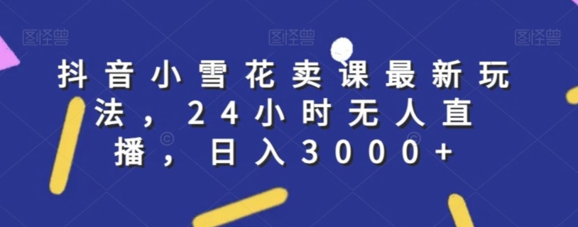 抖音小雪花卖课最新玩法，24小时无人直播，日入3000+【揭秘】-火柴小市场