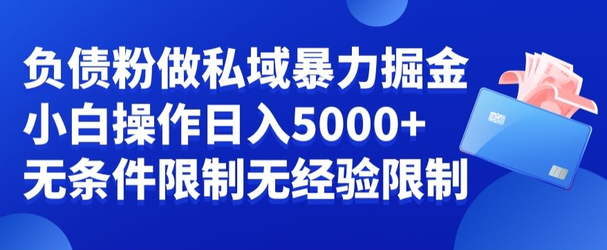 负债粉私域暴力掘金，小白操作入5000，无经验限制，无条件限制【揭秘】-火柴小市场