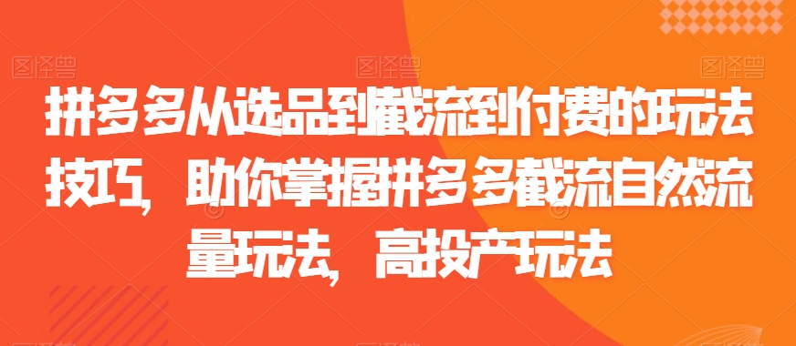 拼多多从选品到截流到付费的玩法技巧，助你掌握拼多多截流自然流量玩法，高投产玩法-火柴小市场