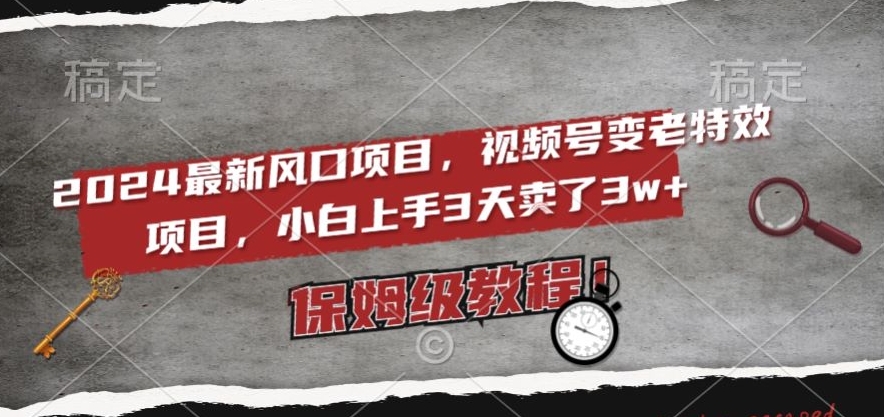 2024最新风口项目，视频号变老特效项目，电脑小白上手3天卖了3w+，保姆级教程【揭秘】-火柴小市场
