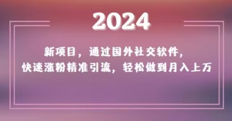 2024新项目，通过国外社交软件，快速涨粉精准引流，轻松做到月入上万【揭秘】-火柴小市场