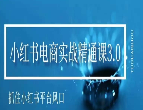小红书电商实战精通课3.0，抓住小红书平台的风口，不错过有一个赚钱的机会-火柴小市场