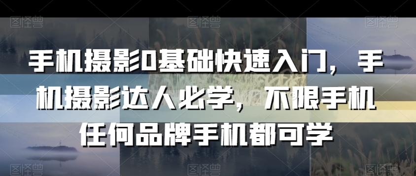 手机摄影0基础快速入门，手机摄影达人必学，不限手机任何品牌手机都可学-火柴小市场