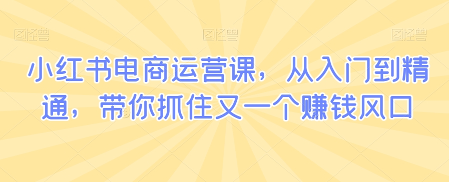 小红书电商运营课，从入门到精通，带你抓住又一个赚钱风口-火柴小市场