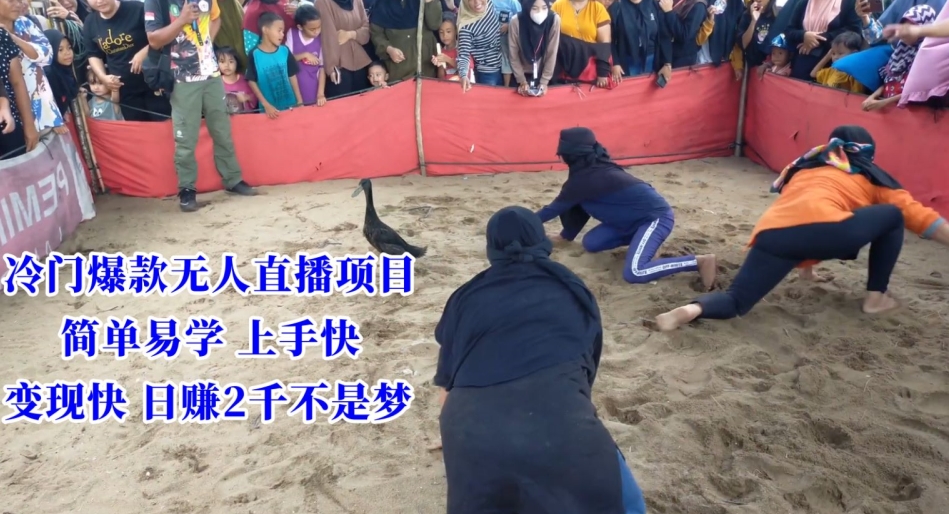 冷门爆款无人直播项目，简单易学上手快，变现快日赚2千不是梦【揭秘】-火柴小市场