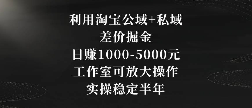 利用淘宝公域+私域差价掘金，日赚1000-5000元，工作室可放大操作，实操稳定半年【揭秘】-火柴小市场