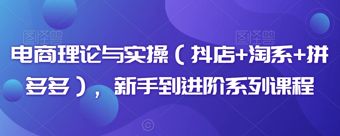 电商理论与实操（抖店+淘系+拼多多），新手到进阶系列课程-火柴小市场