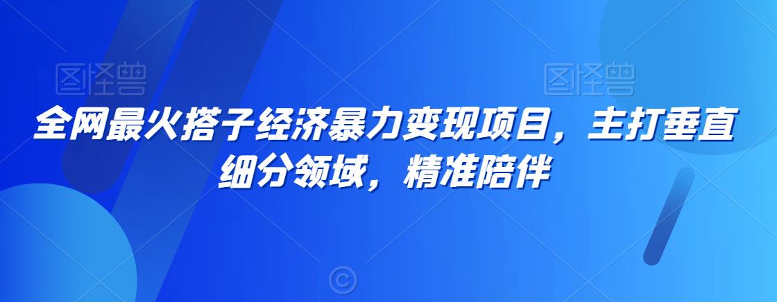 全网最火搭子经济暴力变现项目，主打垂直细分领域，精准陪伴【揭秘】-火柴小市场