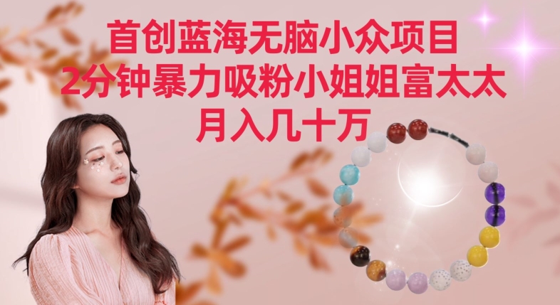 首创蓝海无脑小众项目，2分钟暴力吸粉小姐姐富太太，月入几十万【揭秘】-火柴小市场
