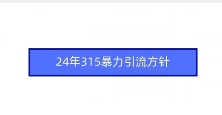 24年315暴力引流方针-火柴小市场