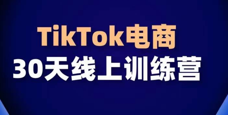 TikTok电商带货30天线上课，不可错过的全球流量洼地！-火柴小市场