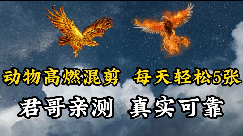 动物超燃混剪，每天轻松5张，剪辑简单大家爱看【揭秘】-火柴小市场