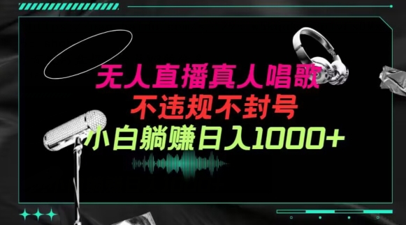 抖音24小时无人直播音乐，不违规，不封号纯撸音浪，小白实操当天日入1000+【揭秘】-火柴小市场