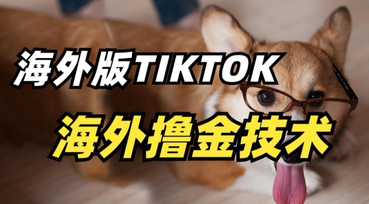 抖音海外版tiktok撸金技术，这个风口行业，赚钱真的不难【揭秘】-火柴小市场
