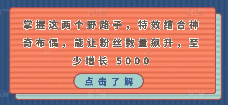 掌握这两个野路子，特效结合神奇布偶，能让粉丝数量飙升，至少增长 5000【揭秘】-火柴小市场
