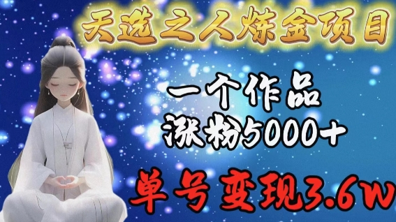 天选之人炼金项目，一个作品涨粉5000+，单号变现3.6w【揭秘】-火柴小市场