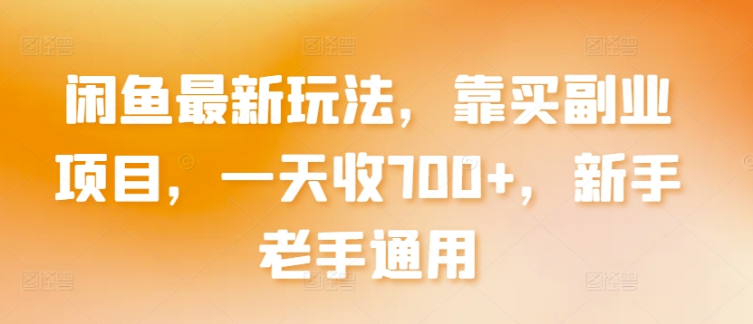 闲鱼最新玩法，靠买副业项目，一天收700+，新手老手通用【揭秘】-火柴小市场
