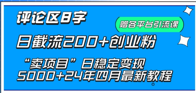 抖音评论区8字日截流200+创业粉 “卖项目”日稳定变现5000+【揭秘】-火柴小市场