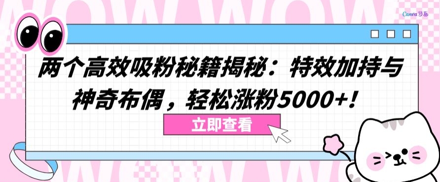 两个高效吸粉秘籍揭秘：特效加持与神奇布偶，轻松涨粉5000+【揭秘】-火柴小市场