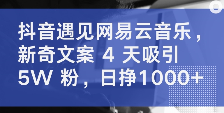 抖音遇见网易云音乐，新奇文案 4 天吸引 5W 粉，日挣1000+【揭秘】-火柴小市场