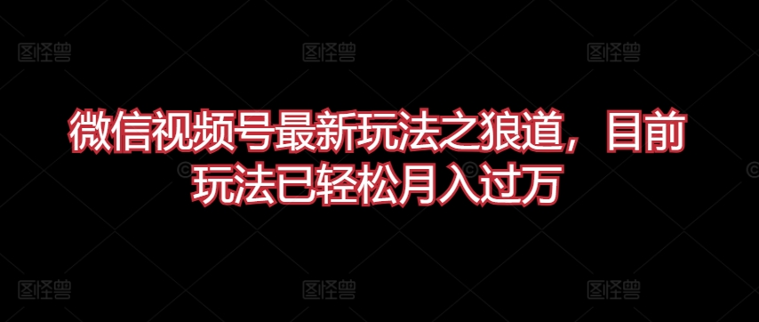 微信视频号最新玩法之狼道，目前玩法已轻松月入过万【揭秘】-火柴小市场