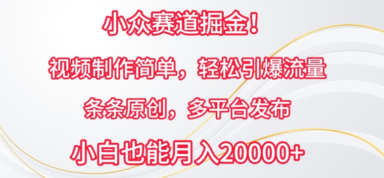 小众赛道掘金，视频制作简单，轻松引爆流量，条条原创，多平台发布【揭秘】-火柴小市场