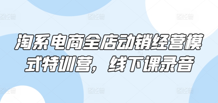 淘系电商全店动销经营模式特训营，线下课录音-火柴小市场