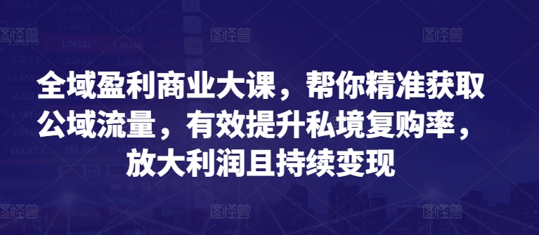 全域盈利商业大课，帮你精准获取公域流量，有效提升私境复购率，放大利润且持续变现-火柴小市场