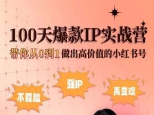 小红书100天爆款IP实战营，带你从0到1做出高价值的小红书号-火柴小市场