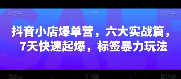 抖音小店爆单营，六大实战篇，7天快速起爆，标签暴力玩法-火柴小市场