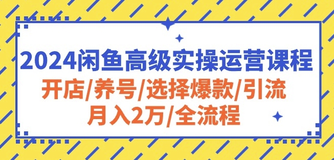2024闲鱼高级实操运营课程：开店/养号/选择爆款/引流/月入2万/全流程-火柴小市场