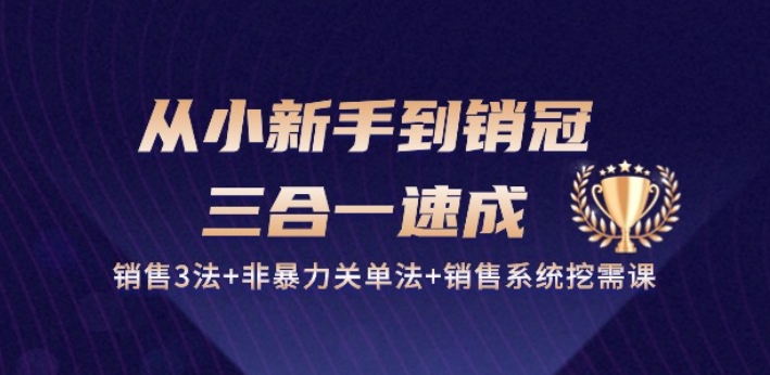 从小新手到销冠 三合一速成：销售3法+非暴力关单法+销售系统挖需课 (27节)-火柴小市场