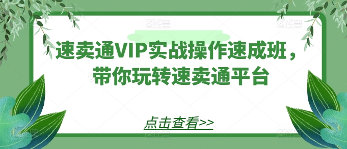 速卖通VIP实战操作速成班，带你玩转速卖通平台-火柴小市场