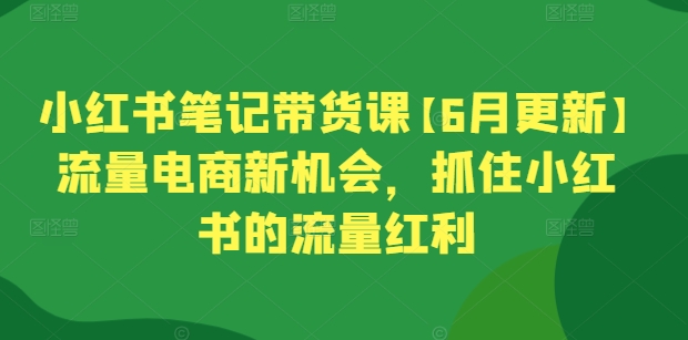 小红书笔记带货课【6月更新】流量电商新机会，抓住小红书的流量红利-火柴小市场