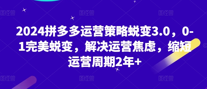 2024拼多多运营策略蜕变3.0，0-1完美蜕变，解决运营焦虑，缩短运营周期2年+-火柴小市场