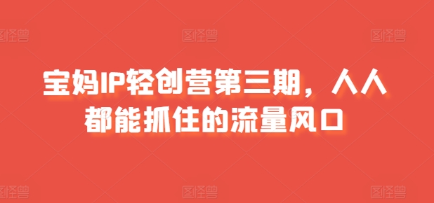 宝妈IP轻创营第三期，人人都能抓住的流量风口-火柴小市场
