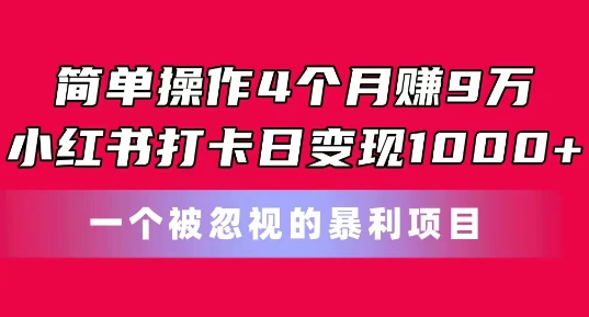 简单操作4个月赚9w，小红书打卡日变现1k，一个被忽视的暴力项目【揭秘】-火柴小市场