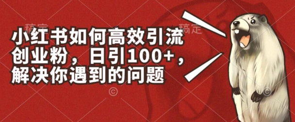 小红书如何高效引流创业粉，日引100+，解决你遇到的问题【揭秘】-火柴小市场