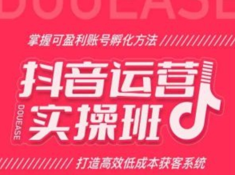 抖音运营实操班，掌握可盈利账号孵化方法，打造高效低成本获客系统-火柴小市场