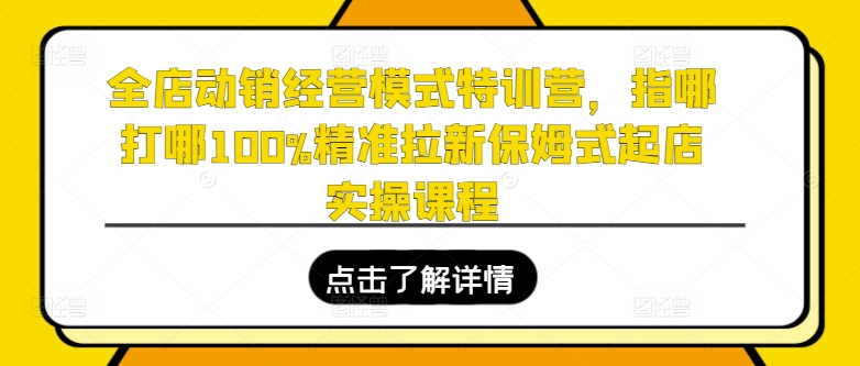 全店动销经营模式特训营，指哪打哪100%精准拉新保姆式起店实操课程-火柴小市场