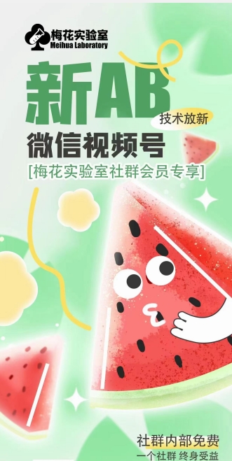梅花实验室2024年AB技术视频号AB合成破解版-火柴小市场
